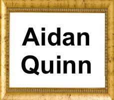 Aidan Quinn