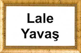 Lale Yavaş